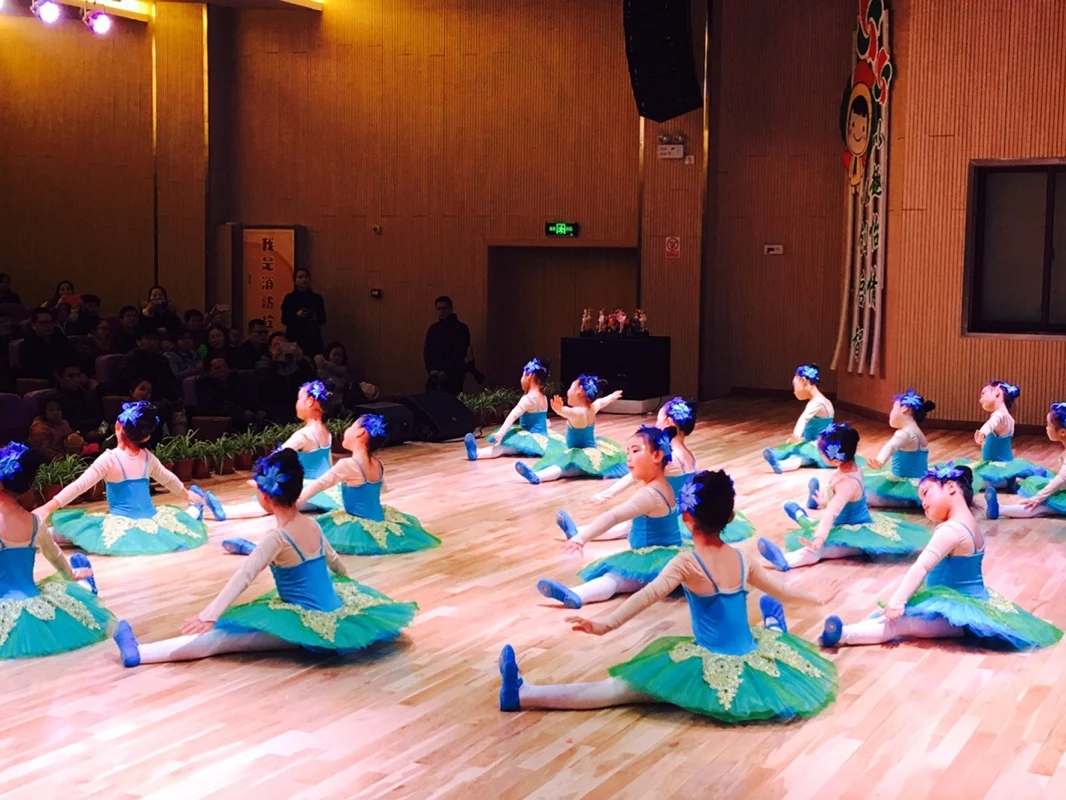 

Adult Children Professional Ballet Tutu Performance Dance Costume Women Kids Sleeping Beauty Tutu Skirt Girls Ballet Clothes