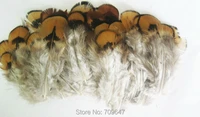 reeves pheasant feathers200pcslot4 8cm yellow reeves pheasant body feathers for fly tying millinerynatural feathers