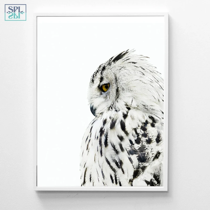 SPLSPL в скандинавском стиле черно-белая сова животные Картина на холсте принт Cuadros