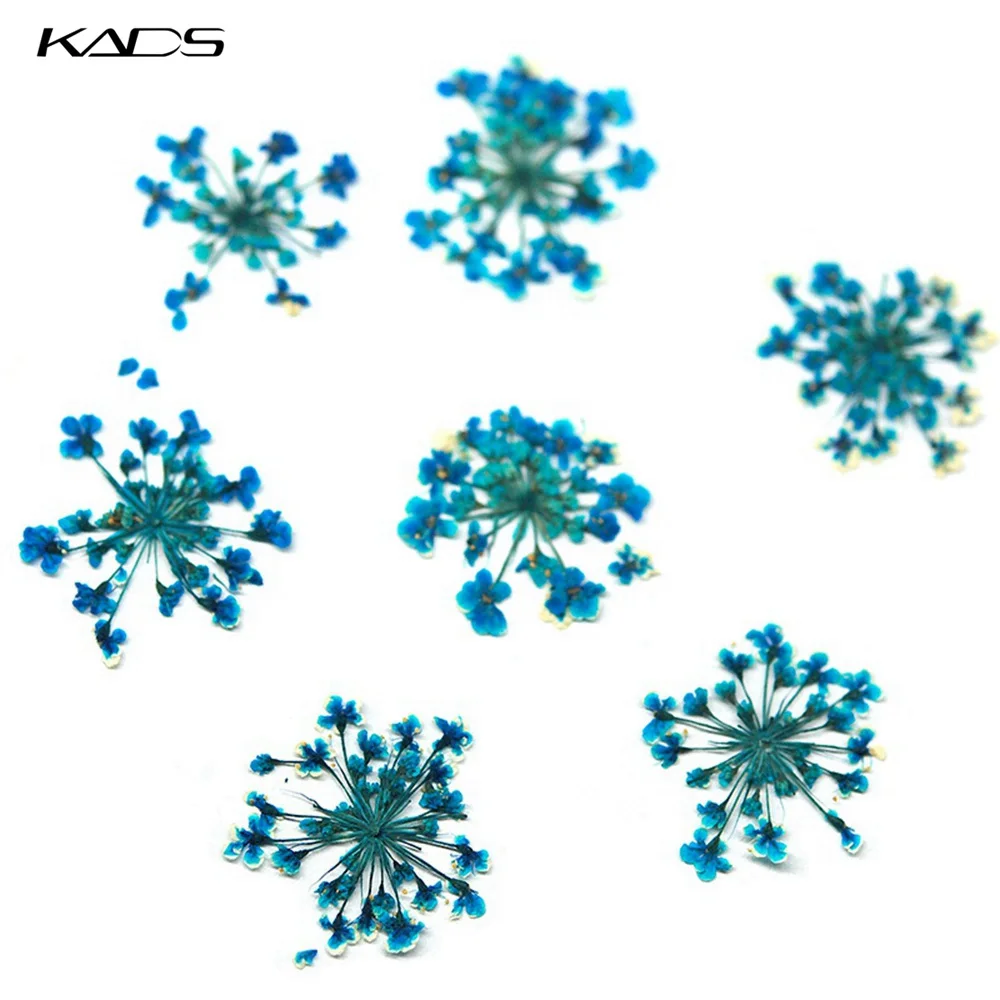 Flower Blue Украшения для ногтей Стразы сушеные цветы лист аксессуары для ногтей 3D дизайн аксессуары камни Кристаллы принадлежности для маникюра - Цвет: Flower Blue