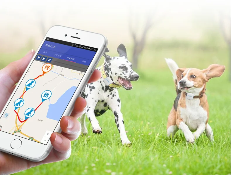 Мини портативное gps-устройство обнаружения для домашних животных трекер GSM Rastreador