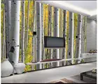 Настенные 3D-обои на заказ, фотообои с изображением Джейн, Европа, береза, лес, Настенные обои под Телевизор
