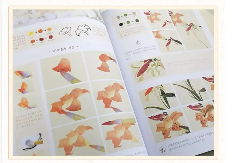 

New Arrival My first Chinese traditional painting book for adult beginners learning line drawing skills Art materials