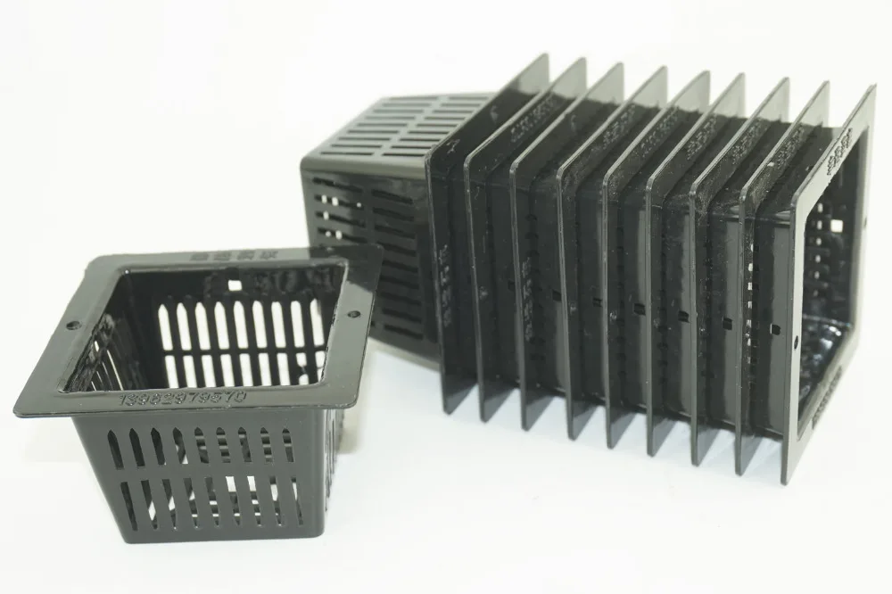 10 шт./лот семена бонсай растения в горшке садовый японского клена|Детали