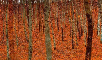 IRINAY059 Новая коллекция с шарфом цвет блок длинный Зимний белый пуховик для женщин