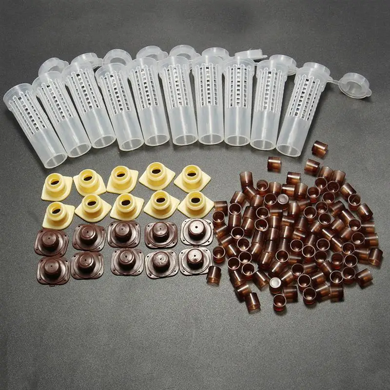 Лучшая цена инструменты для пчеловодства 10 роликовых клеток волос с держателями