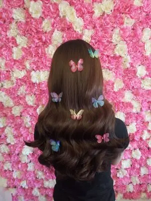 10 шт./лот прозрачная двухслойная цветная кружевная заколка-бабочка головной убор