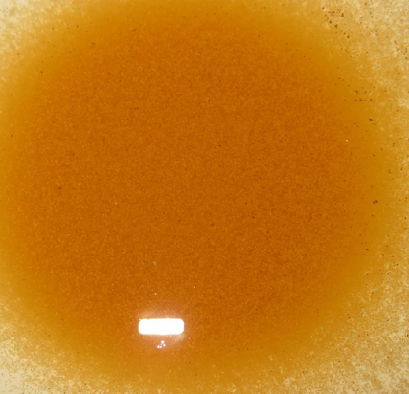 200 г инкубационные рассольные черви большие красные яйца Артемия Салина для