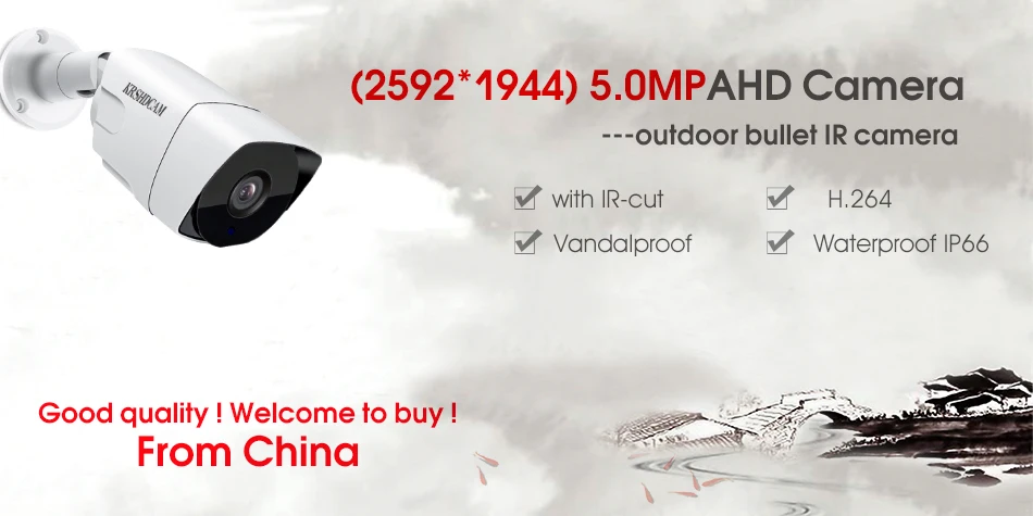 AHD комплект 1080 P/5.0MP H.265 DVR 1 шт. 5.0MP AHD Камера пуля ИК Водонепроницаемая наружная Камера Безопасности s домашняя система видеонаблюдения