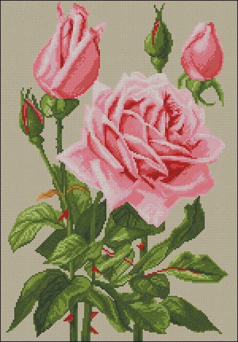 

Needlework,DIY Cross Stitch,Sets For Embroidery kits,14CT,Pink roses