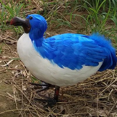 new simulation Raphus cucullatus bird toy foam&ampfeathers blue Dodo model about 32cm 0004 | Игрушки и хобби