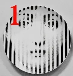 Горячая rosenthal Piero fornasetti тарелки Красивые иллюстрации подвесные декоративные ремесленные блюда для дома/отеля/бара фоновое украшение тарелка - Цвет: 25