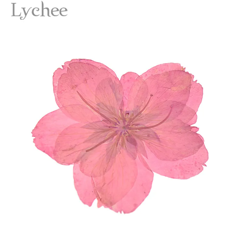 Lychee прессованный Высушенный Цветок сакуры натуральный цветок вишни домашнее