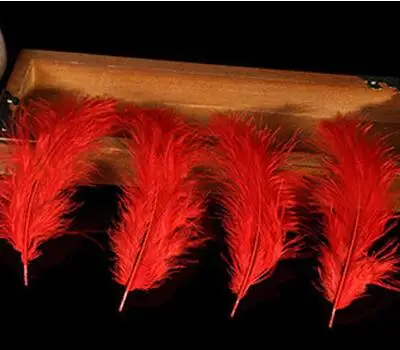 Natural Turkey Feathers Plumes 4-6 Inches10-15cm Multicolor Chicken Marabou Feather DIY Craft Wedding Jewelry Decoration 50pcs