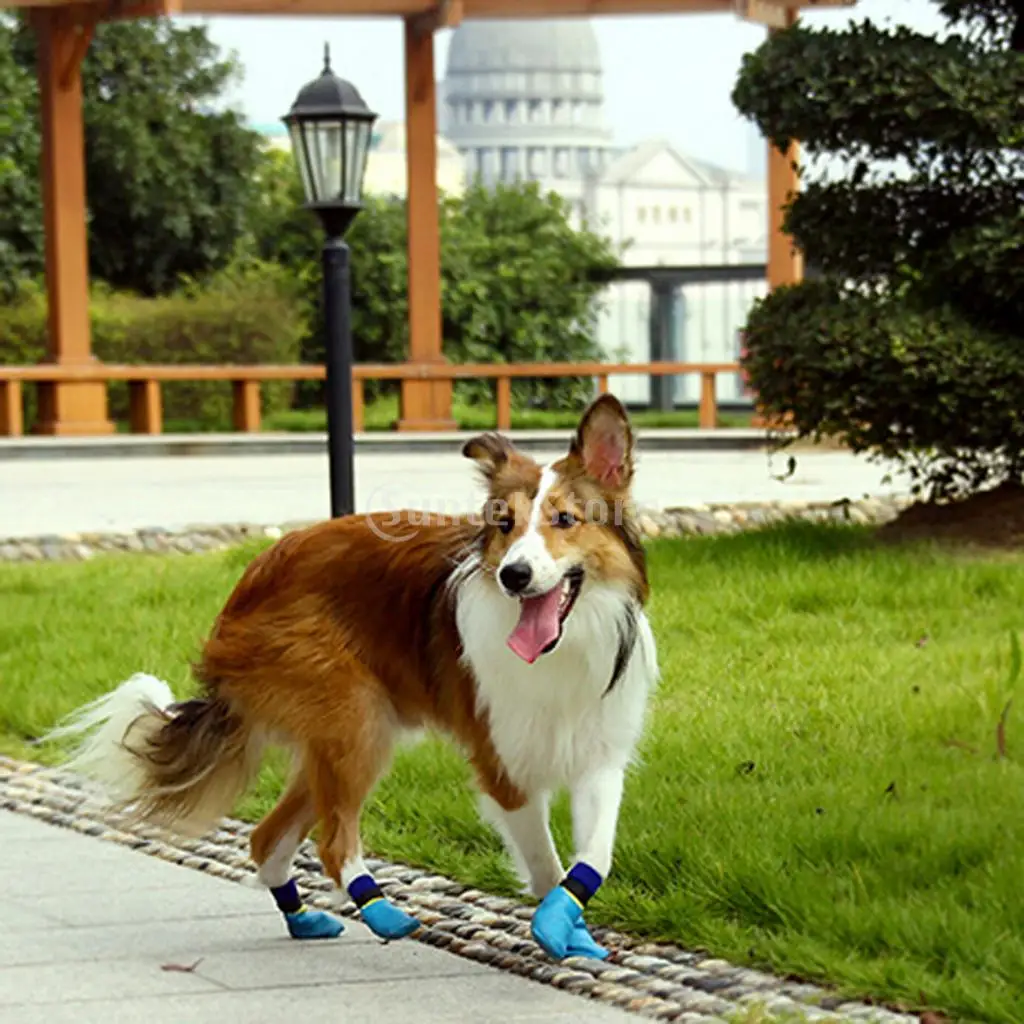 Водонепроницаемая Обувь для собак тапочки щенков нескользящие носки | Дом и сад