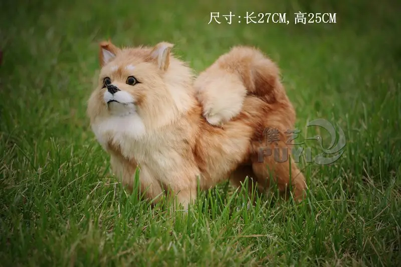 

creative simulation dog toy imitate Pomeranian model gift about 27x25cm toy t014