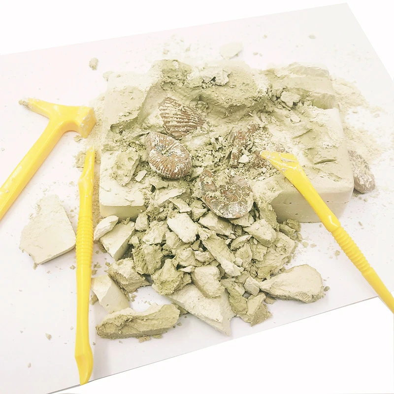 Хит продаж имитация игрушечных раскопок для раннего детства модель раковины из