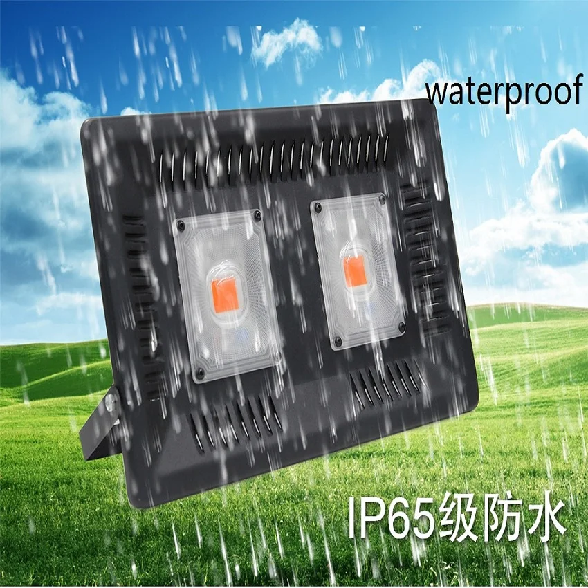 ZjRight полный спектр 100 Вт Led COB растение растут свет открытый сад цветок фрукты