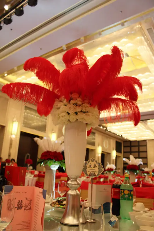 Hot! Free shipping manufacturers selling 10 PCS Red ostrich feathers 35-40inches/14-16cm | Дом и сад