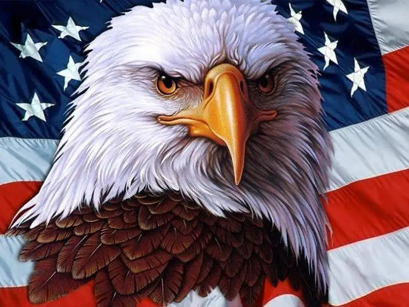 5d алмазные яркие Стразы Вышивка картина рукоделие вышивка крестом Алмазная