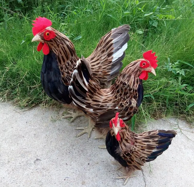 Размер пера большой кушетки декорация модель для фотосъемки|props|props photographyprops