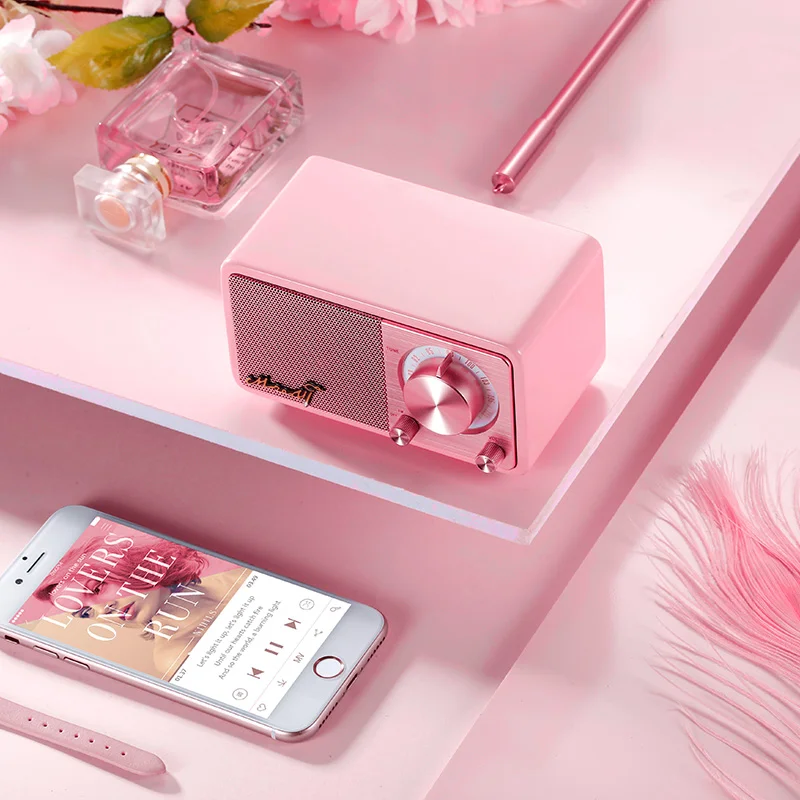 Портативный динамик Sangean с FM радио портативный мини Bluetooth беспроводной подарок на