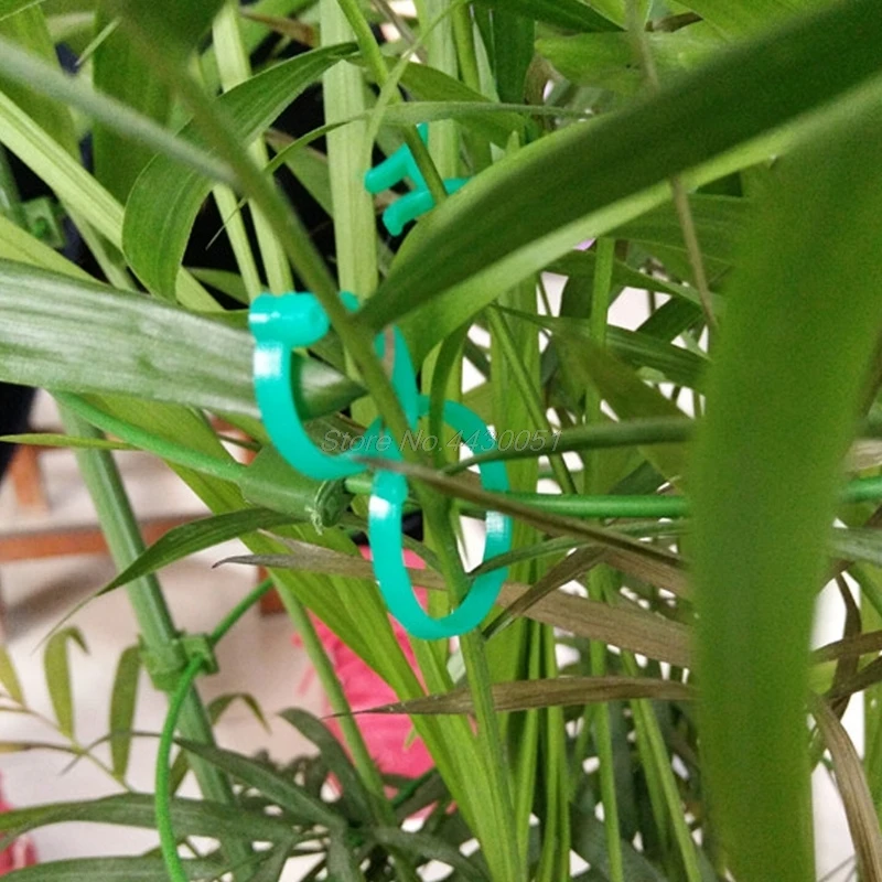 10 шт. зажимы для подвязки томатов связующее устройство садовых растений овощей