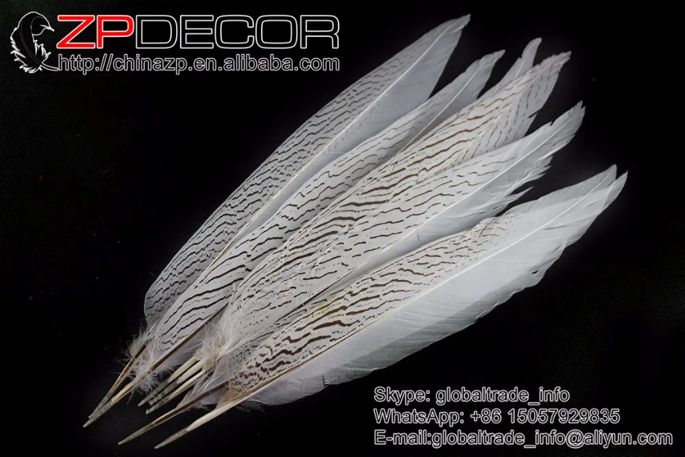 Фото ZPDECOR 14-16 дюймов (35-40 см) 50 шт./лот, красивые отбеленные белые серебряные перья фазана для Showgirl, карнавальные костюмы, головной убор №4