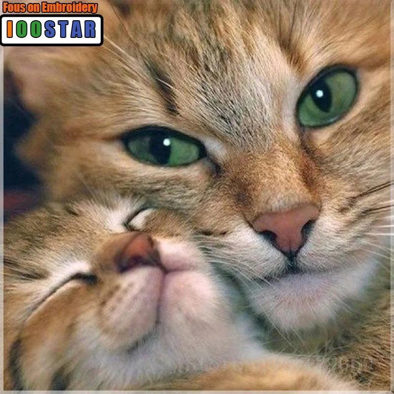 5D Diy Алмазная Вышивка крестом милые кошки и кошечкой для маленьких детей