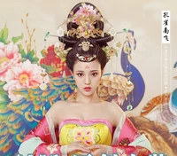 thematic photo costume for palace empress or princess of tang dynasty womens costume high waist peacock flying southward