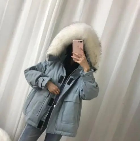 Real Fur Куртка-пуховик на 90% белом утином пуху, Женская свободная парка с капюшоном, большие размеры, пальто с воротником из натурального меха енота, зимнее пальто для женщин - Цвет: Real Fur