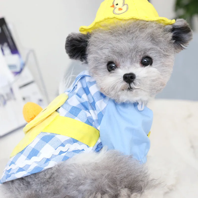 Забавная Одежда для собак летняя Милая футболка маленькой собачки шапка кошки
