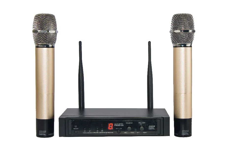 IiiMymic DF-G Двухканальный UHF беспроводной микрофон Система со звуковым эффектом 2 металла ручной микрофон для караоке DJ церкви