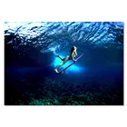 HD Печатный 1 шт. девушка серфинг в глубоком синем океане Холст принты плавательная девушка стена художественные плакаты и принты