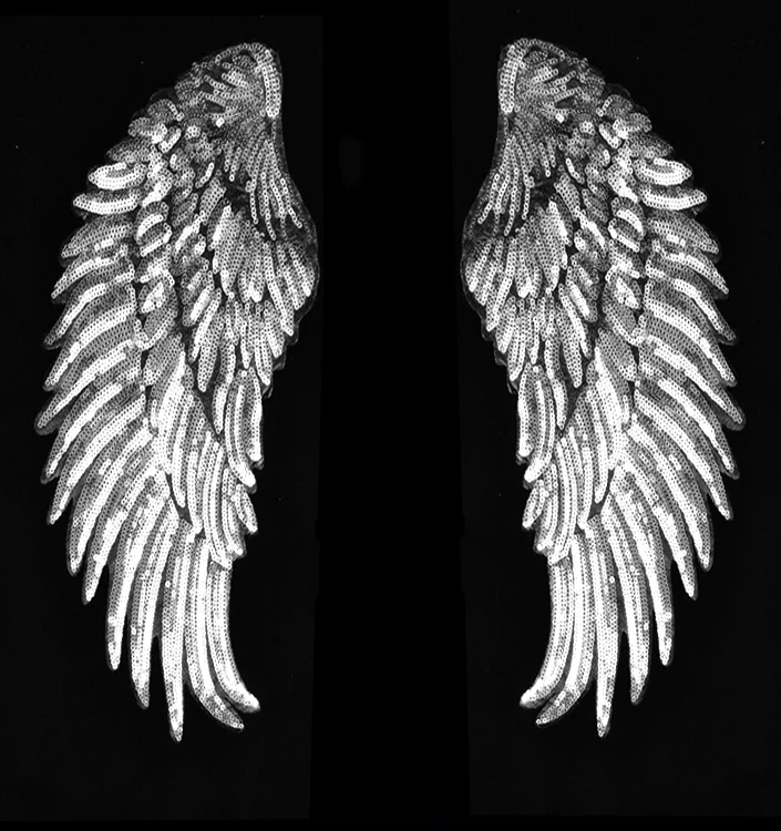 

Хит продаж, железные накладки, аксессуары для одежды, патчи для одежды, наклейки для одежды, одна пара/комплект