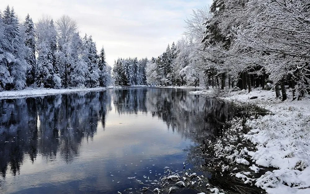 Озёр и Снежный лес пейзаж фон 3d обои фрески для гостиной|landscape backdrops|wallpapers for living
