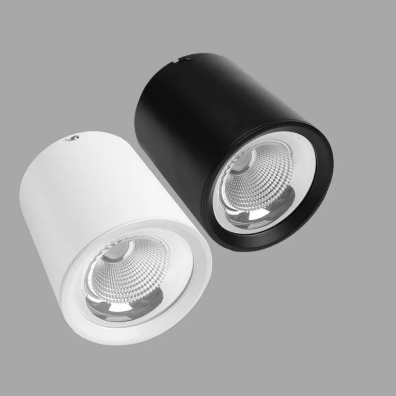 Светодиодный потолочный светильник Точечный холодного и теплого белого света 12