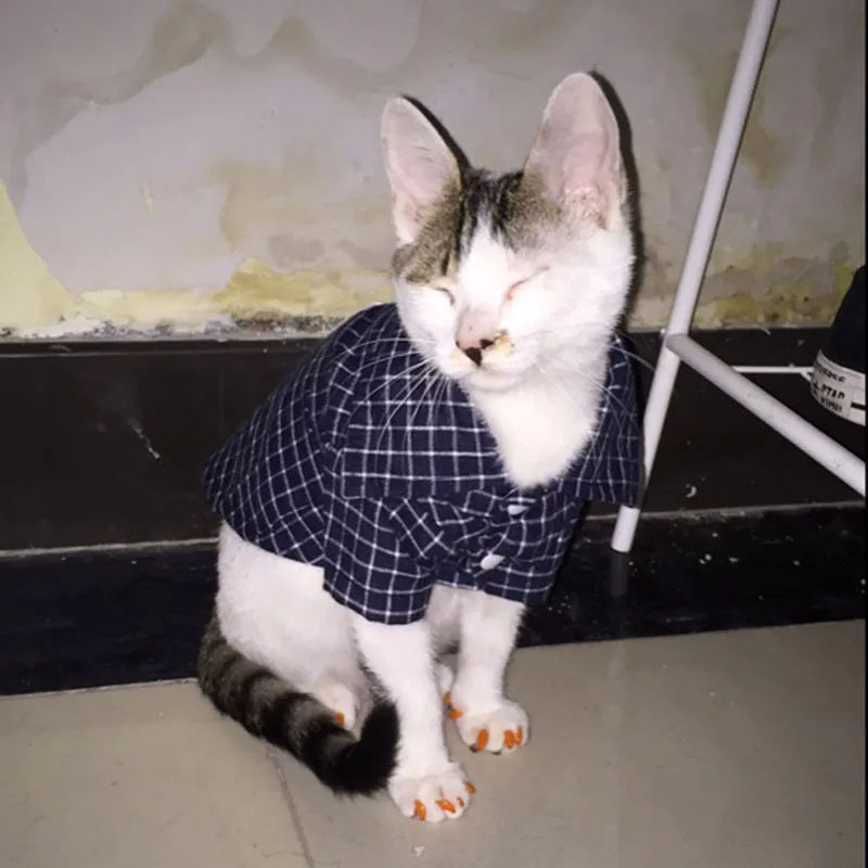 Маленькая собака одежда для домашних животных, котов, красивый котик, одежда модные Рубашки в клетку для кошек котенка хлопковые щенков летняя одежда XS размеры s m l xl