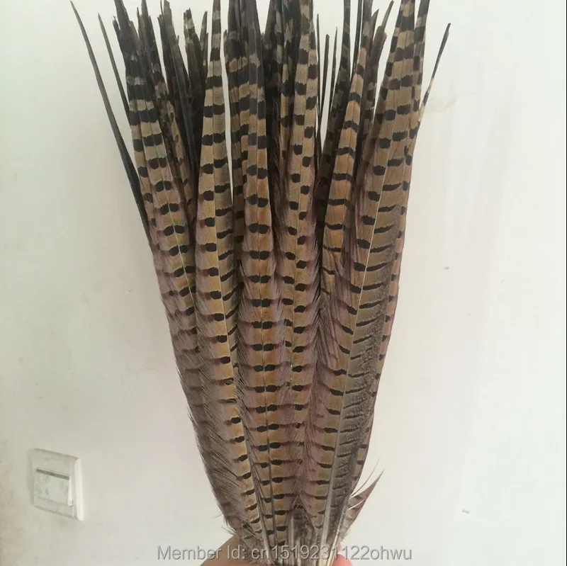 

Wholesale 50pcs beautiful natural pheasant feather 18-20 inch 45-50 cm, DIY decorative !