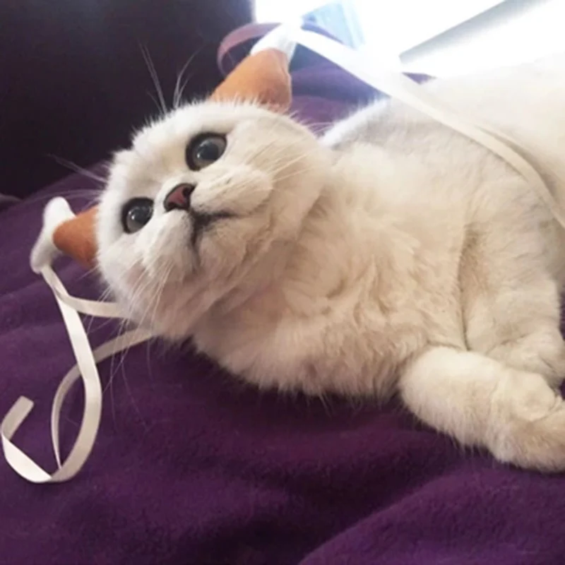 Новый костюм для косплея шляпа собак щенков кошек забавная с петлей головы