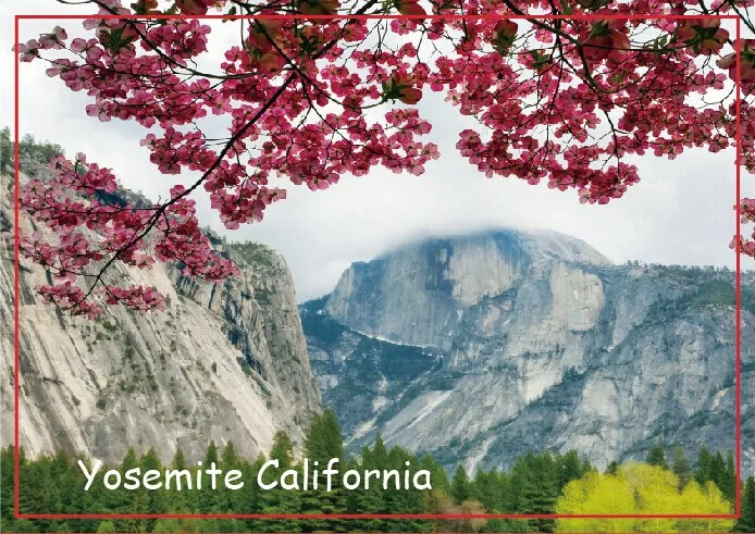США Путешествия магниты в подарок весна Йосемите Калифорнийский путешествия на