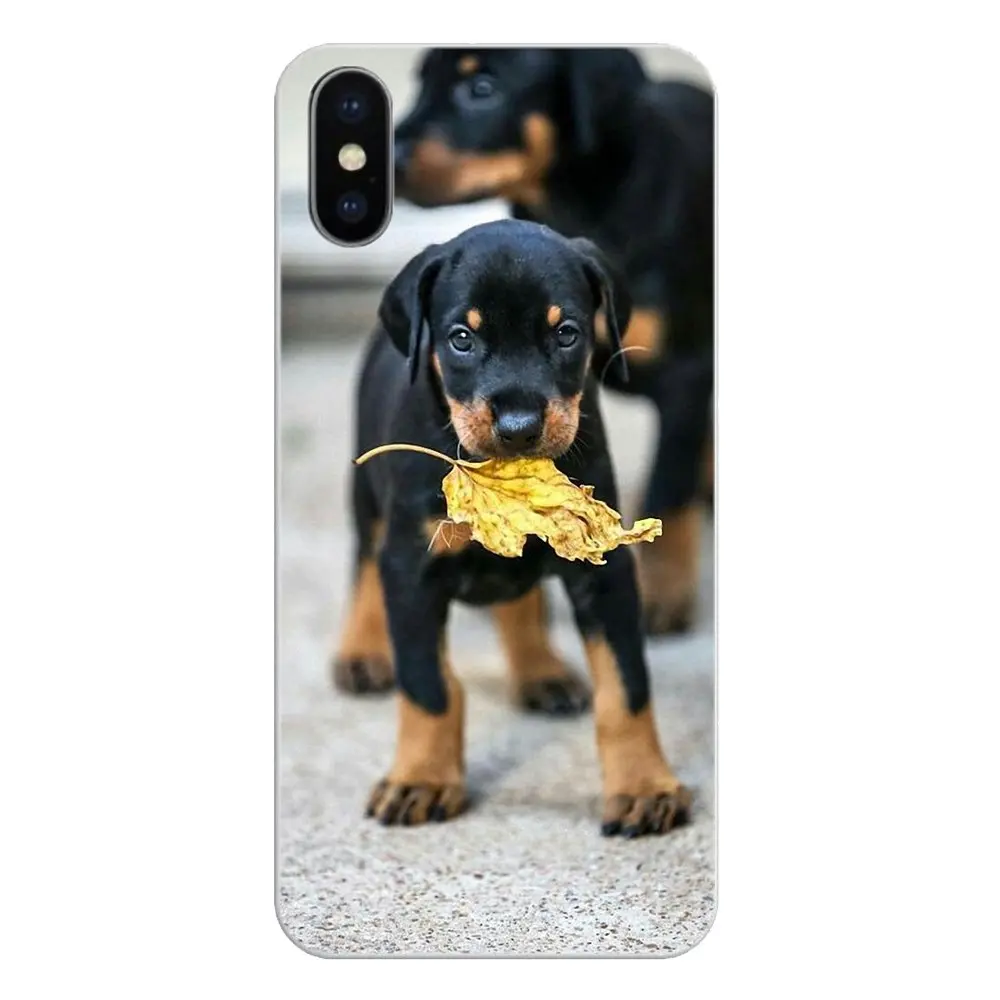 Силиконовые чехлы для лица Pinscher собака добермана язык Huawei P20 Lite Nova 2i 3i 3 GR3 Y6 Pro Y7 Y8 Y9
