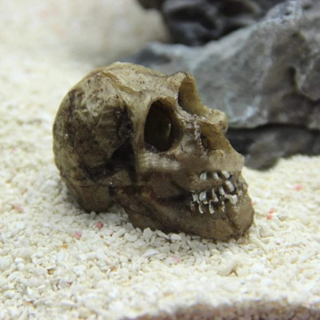 Аквариумная искусственная смола гусеничный Дракон-Террариум для ящерицы пещера