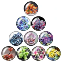 beauty succulent plant flowers 10pcs mixed 12mm16mm18mm25mm round photo glass cabochon demo flat back making findings zb1092