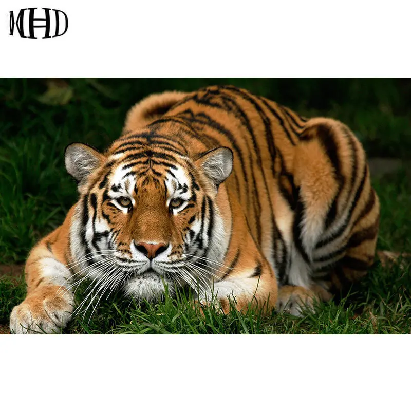 

Full Square & Round Tiger 5d diy Diamond Embroidery Tiger Diamond Painting Crystal Animal Diamond Painting Cross Stitch Mosaics