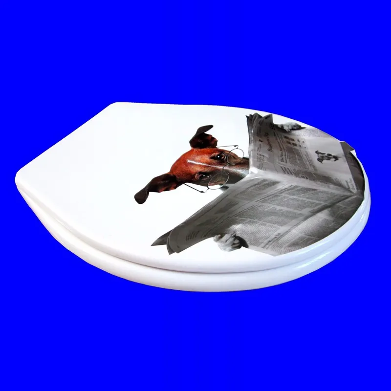 toilet lid cover standard closing 2016 high quality colorful seat set hot selling fashion bathroom pp | Обустройство дома