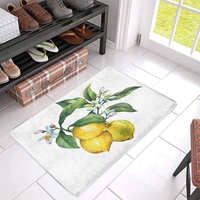 fresh citrus fruit lemon doormat indoor entrance rug floor shoe scraper door mat non slip home decor rubber backing