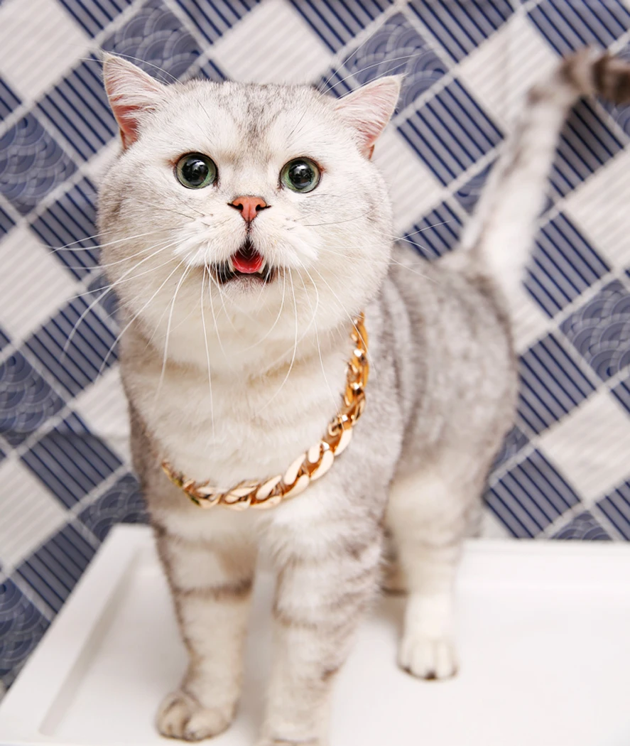 1 шт. поводок для собак дроссель ошейник собаки ошейники Толстая позолоченная