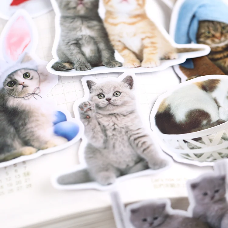 21 шт. корейский милый кот наклейки мобильный телефон сделай сам фотоальбом водонепроницаемый прозрачный прекрасный декоративный материал вокруг Мяу