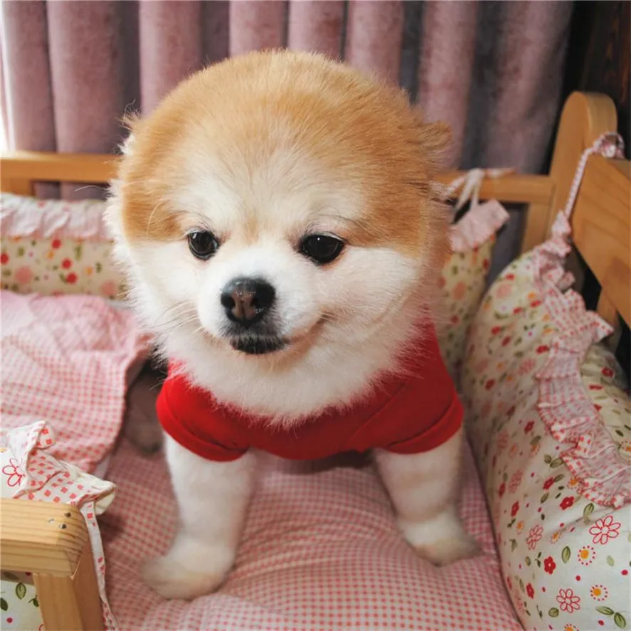 Новая Милая футболка для домашних животных 1 шт. хлопковая летняя рубашка одежда